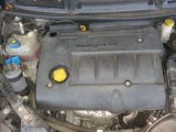 Fiat Bravo, 1.3l Dyzelinas, Hečbekas 2008m